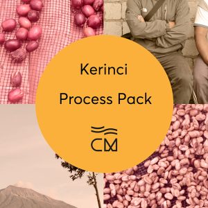 Casino Mocca - Kerinci Process Pack