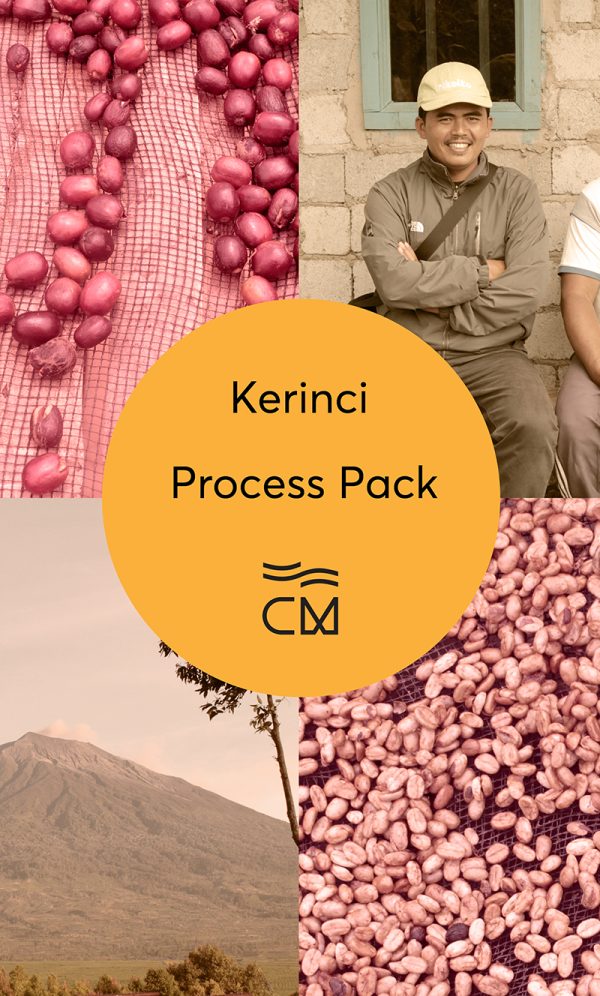 Casino Mocca - Kerinci Process Pack