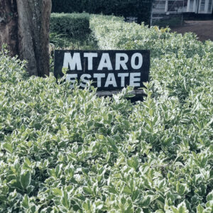 Casino Mocca - Mtato (Kenya)