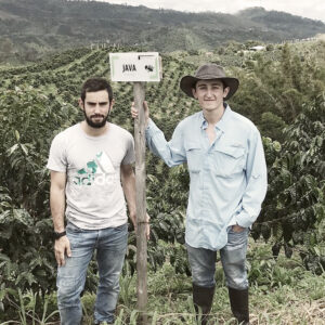 Casino Mocca - El Vergel Decaf
