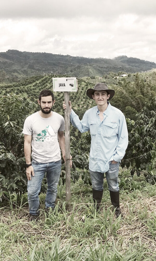 Casino Mocca - El Vergel Decaf