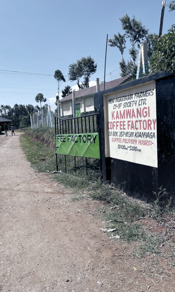 Casino Mocca - Kamwangi