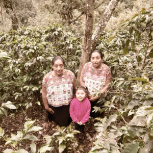 Casino Mocca - Familia Mendez (Guatemala)