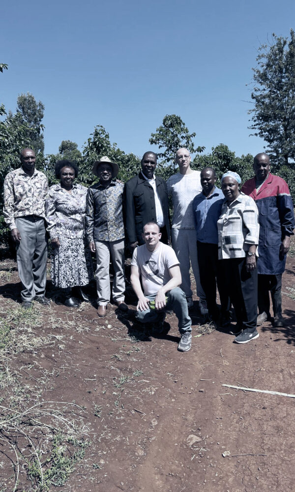 Casino Mocca - Sarkin (Kenya)