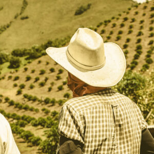 Casino Mocca - Las Perlitas Chiroso