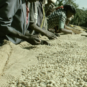 Casino Mocca - Chelelektu