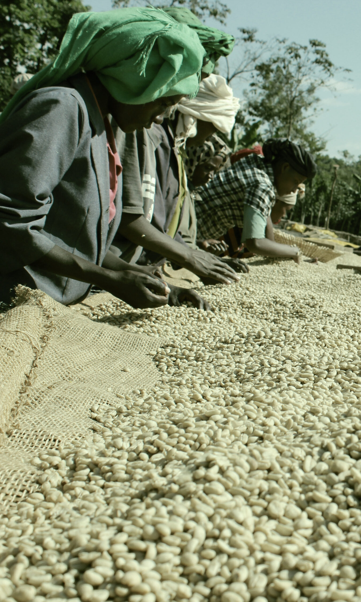 Casino Mocca - Chelelektu