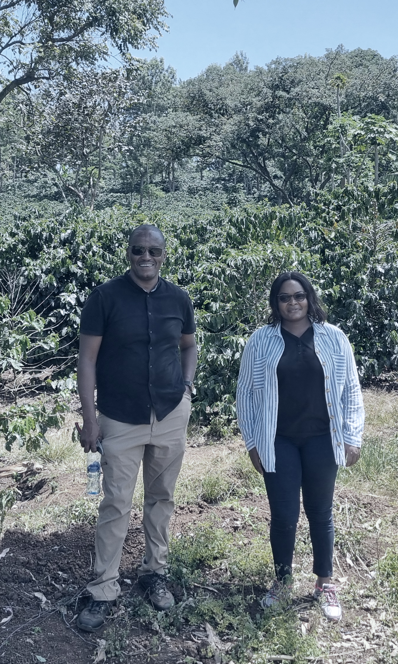 Casino Mocca - Finca de Cafe (Kenya)