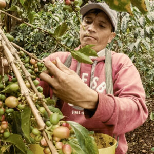 Casino Mocca - Lima (Peru)