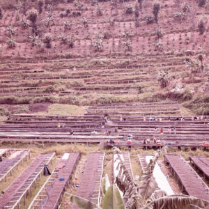 Casino Mocca - Ngera (Ruanda)