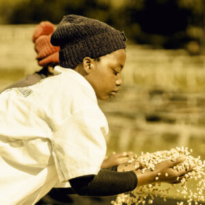 Casino Mocca - Simbi (Ruanda)