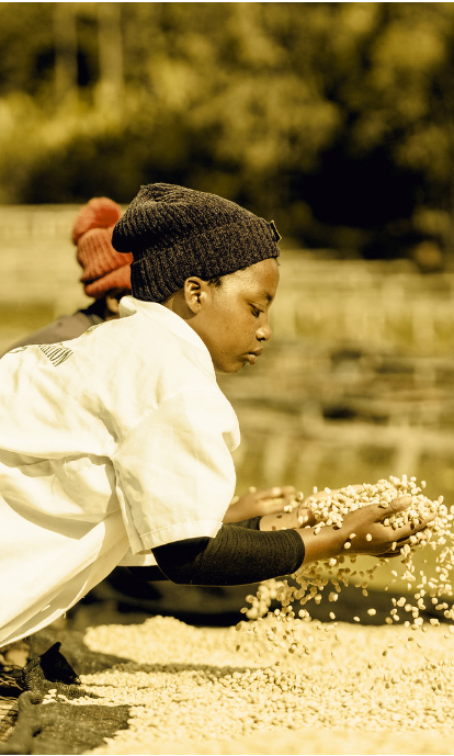 Casino Mocca - Simbi (Ruanda)