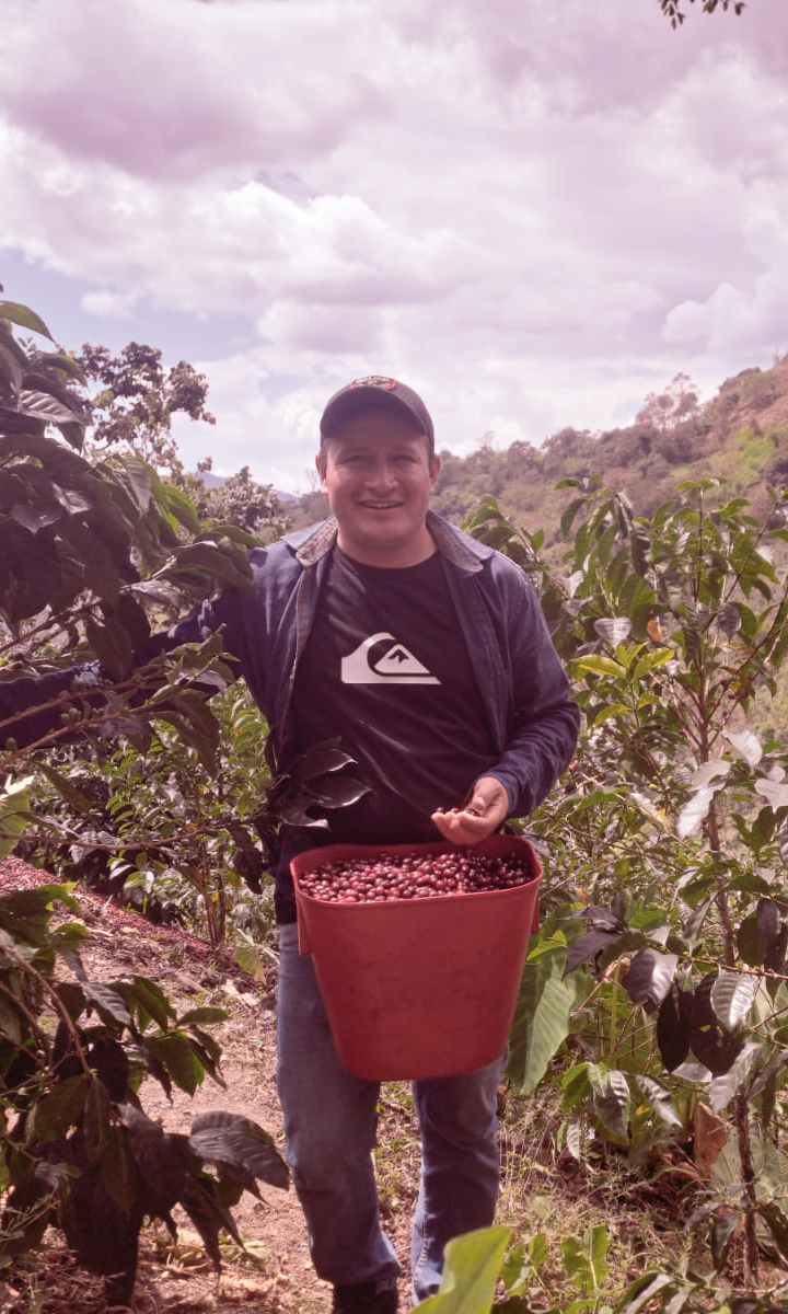 Casino Mocca - El Mirador (Peru)