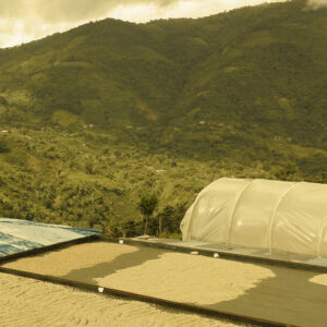 Casino Mocca - La Esperanza (Kolumbia)