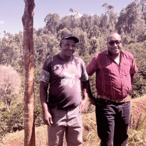 Casino Mocca - Wangera (Kenya)