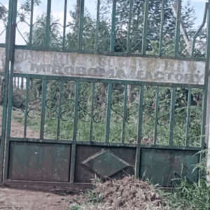 Casino Mocca - Miroroma (Kenya)