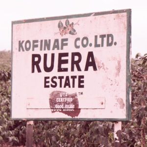 Casino Mocca - Ruera 2026